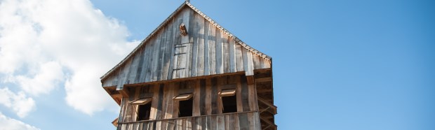 Burgmannentage, Vechta 2014